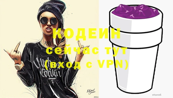 apvp Ельня