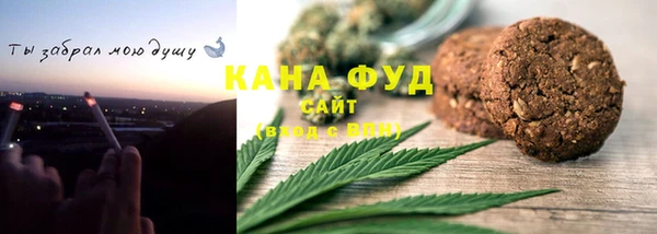 apvp Ельня