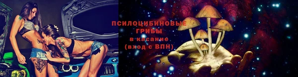 дмт Елизово
