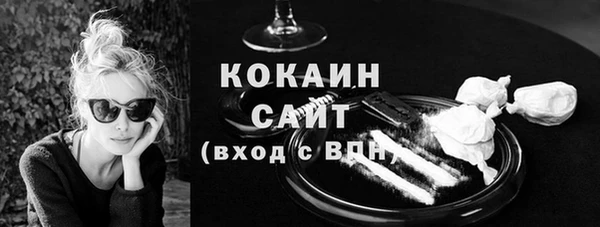 apvp Ельня
