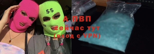 apvp Ельня