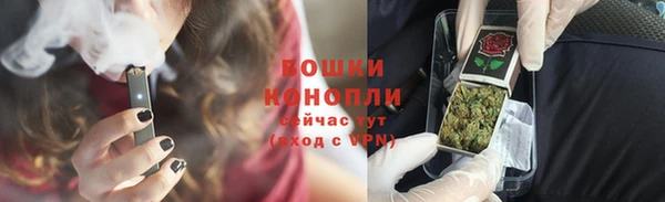 apvp Ельня