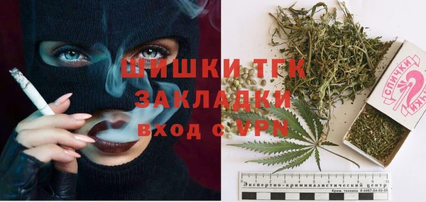 дмт Елизово