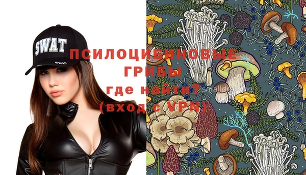 таблы Елабуга
