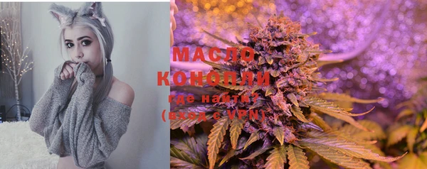 apvp Ельня