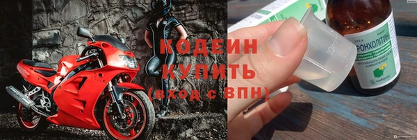 дмт Елизово
