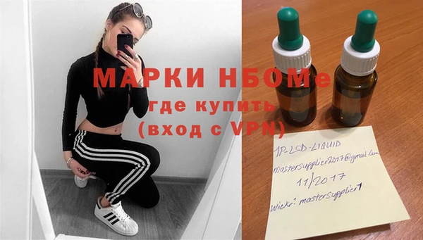 apvp Ельня