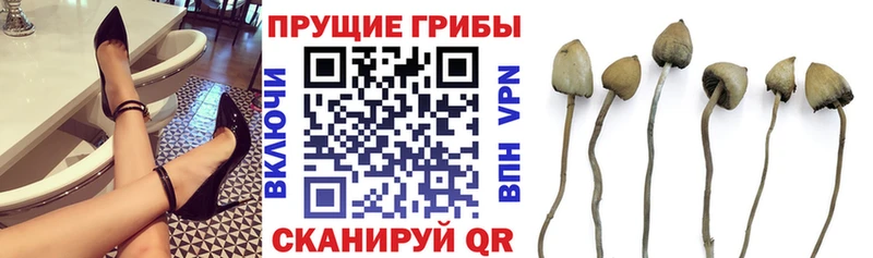 Псилоцибиновые грибы ЛСД  купить наркотик  Шагонар 